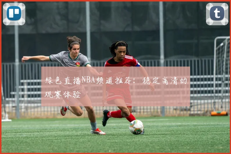 绿色直播NBA频道推荐：稳定高清的观赛体验