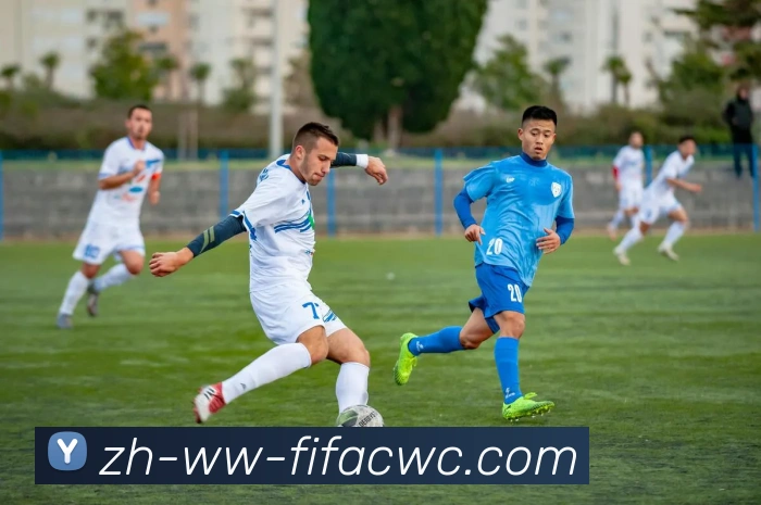 世界杯在线观看发展历程