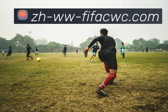 2017年火箭队球员年薪数据统计与比较